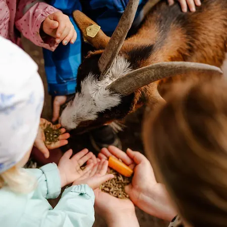 Schusterkate - [#96108] Ferienhaus Staberdorf