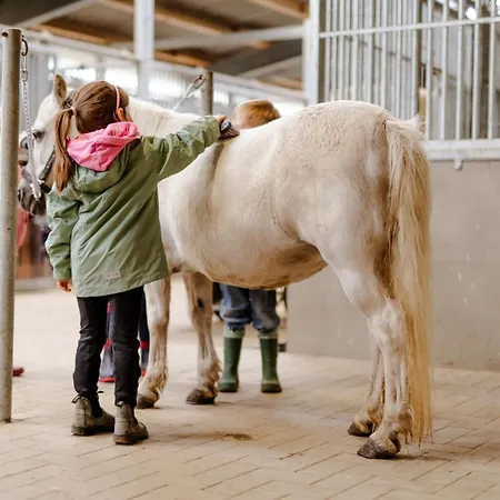 Ferienhaus Schusterkate - [#96108]