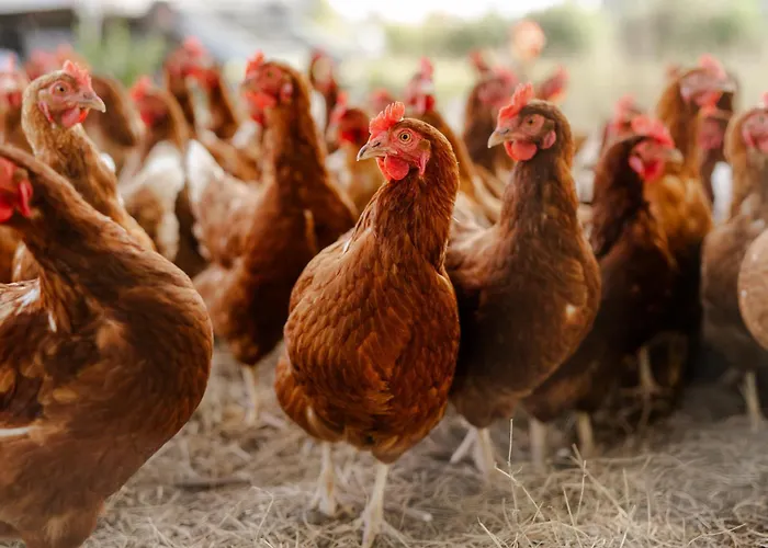 Casa vacanze Backhaus 1 Staberdorf