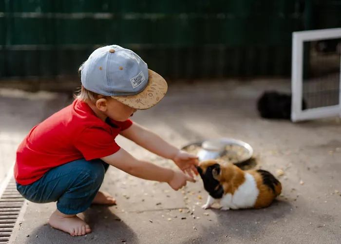 Backhaus 1 Staberdorf