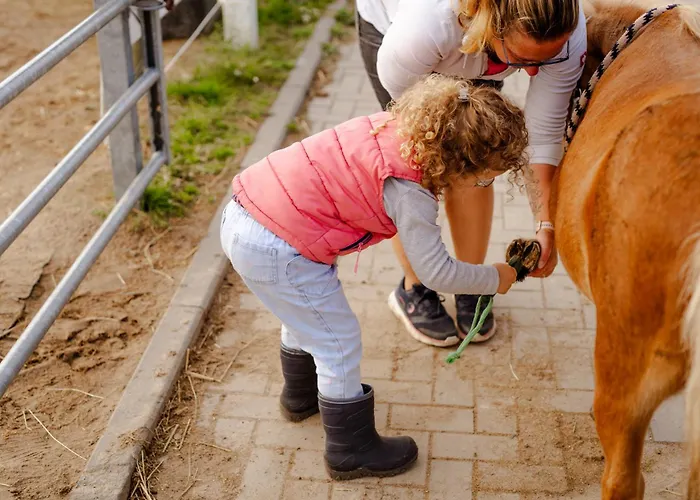 Backhaus 1 Casa vacanze *