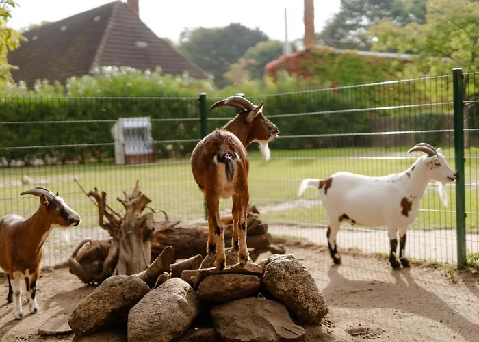 Casa vacanze Backhaus 1 *