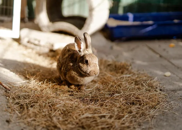 Backhaus 1 Staberdorf