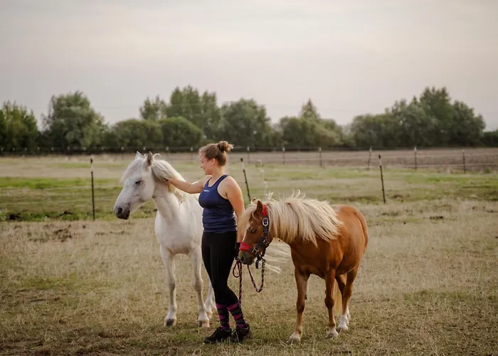 Backhaus 1 Casa vacanze *